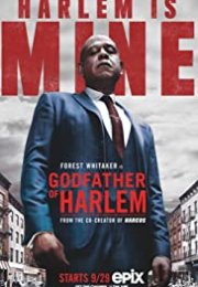Godfather of Harlem streaming guardaserie